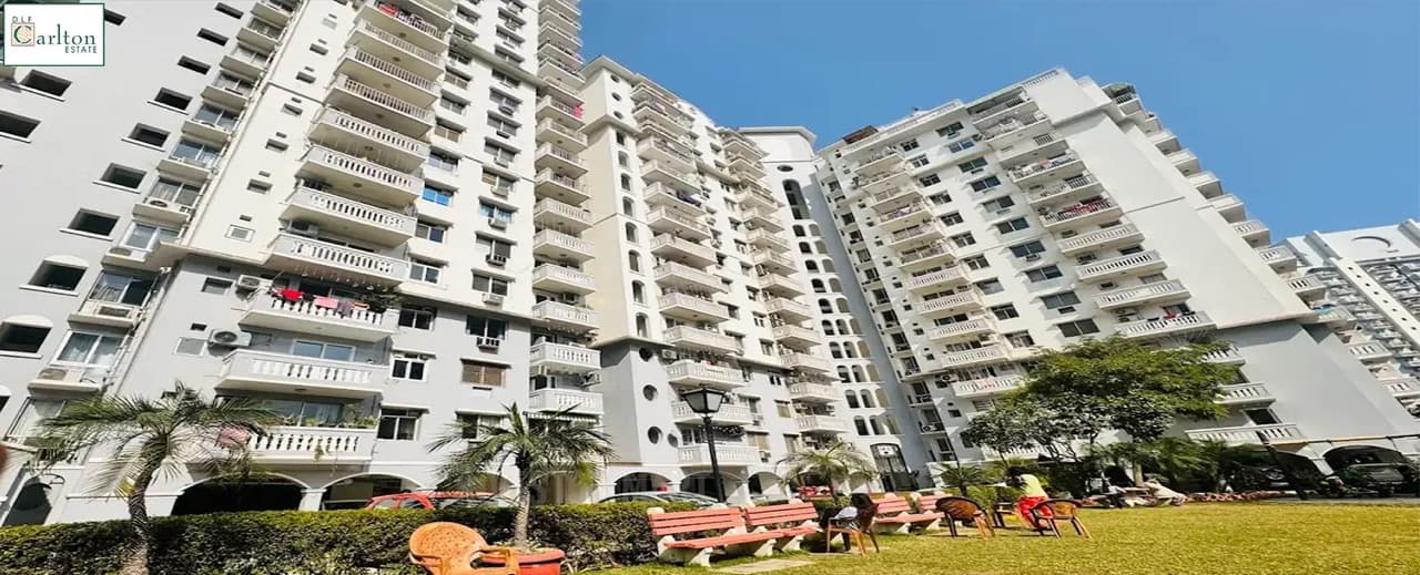 3 BHK in DLF Carlton Estate